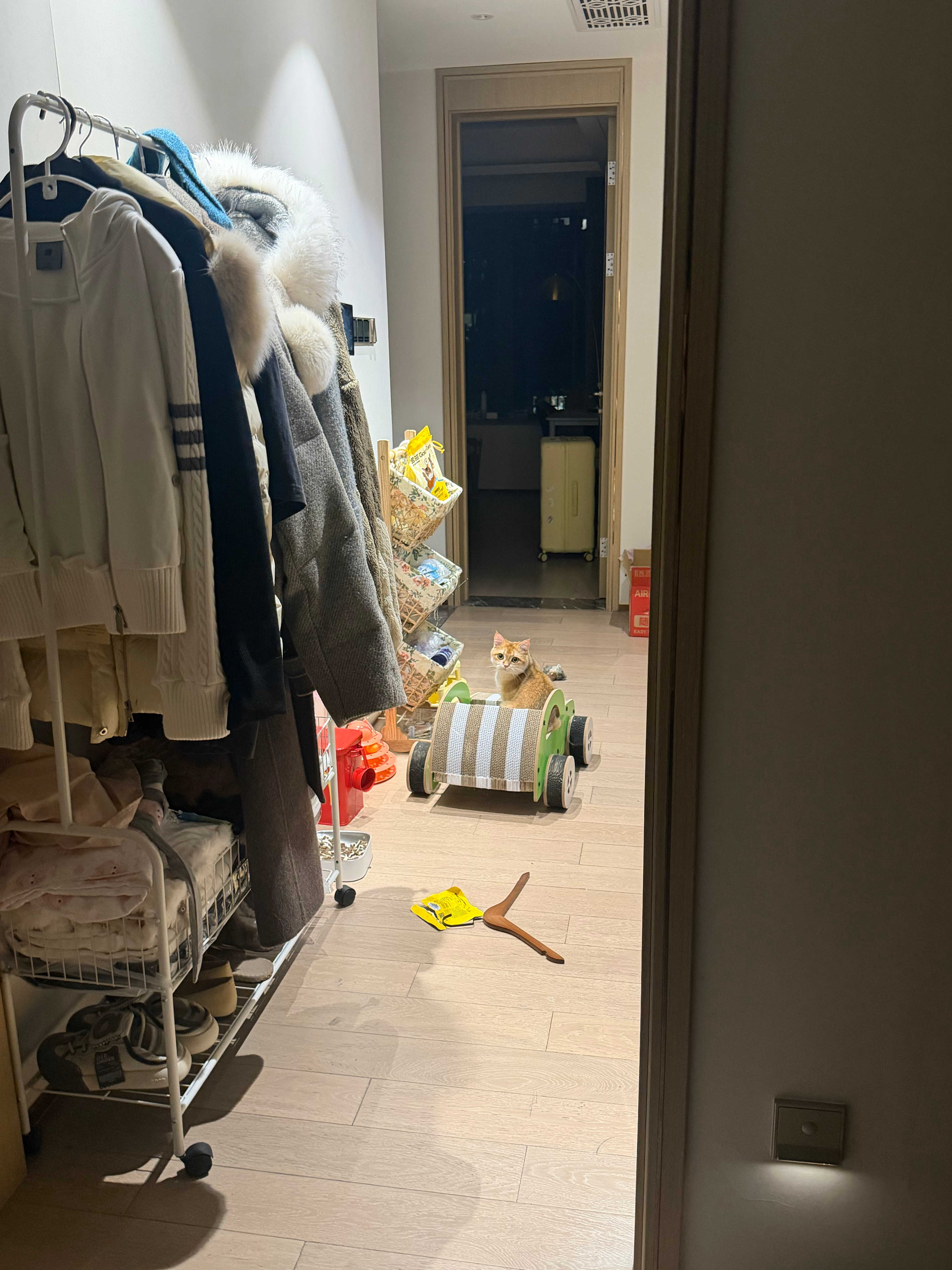 悄悄咪咪坐上了它的大奔 