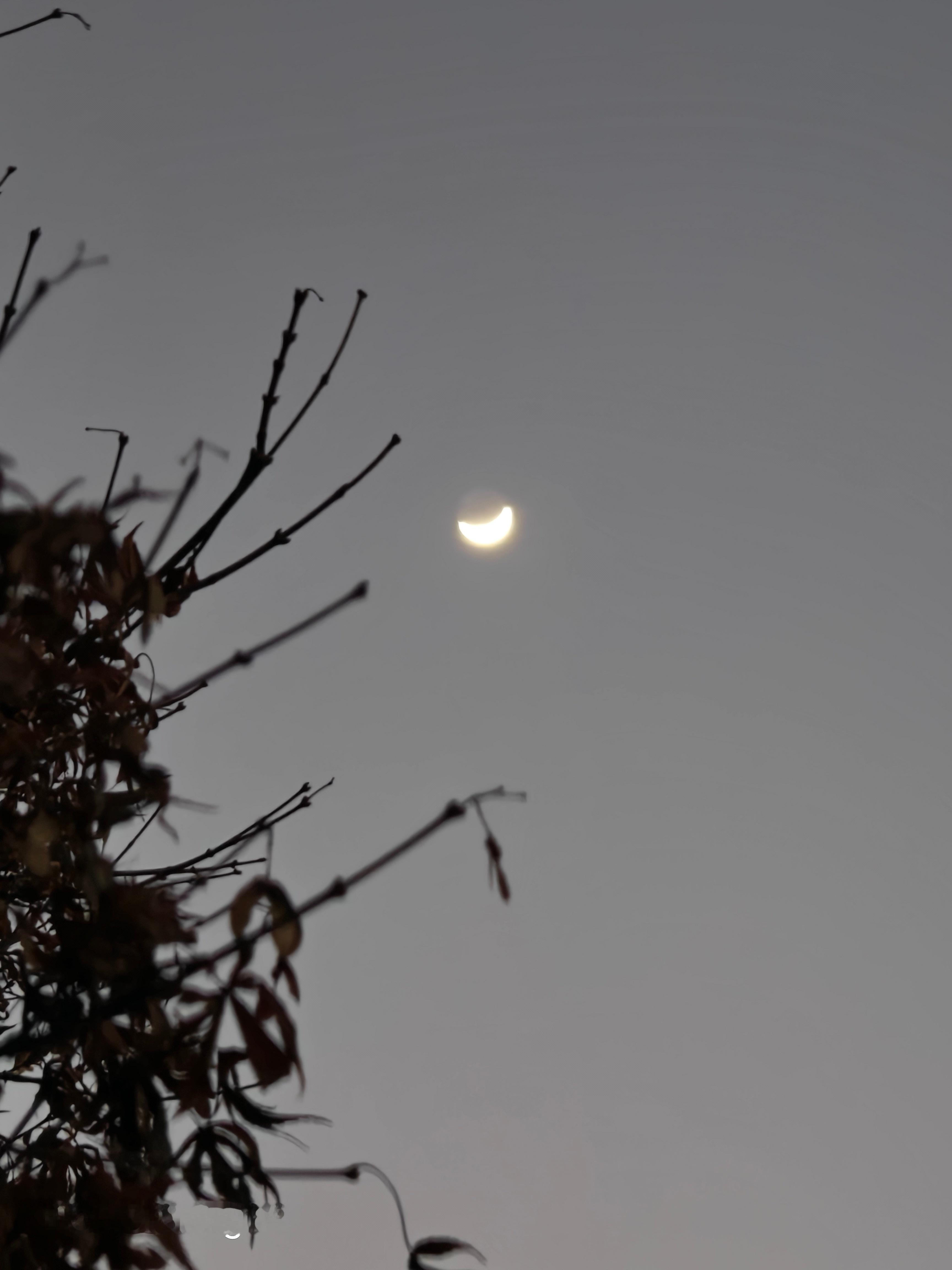 今天的，一轮弯弯的月亮 