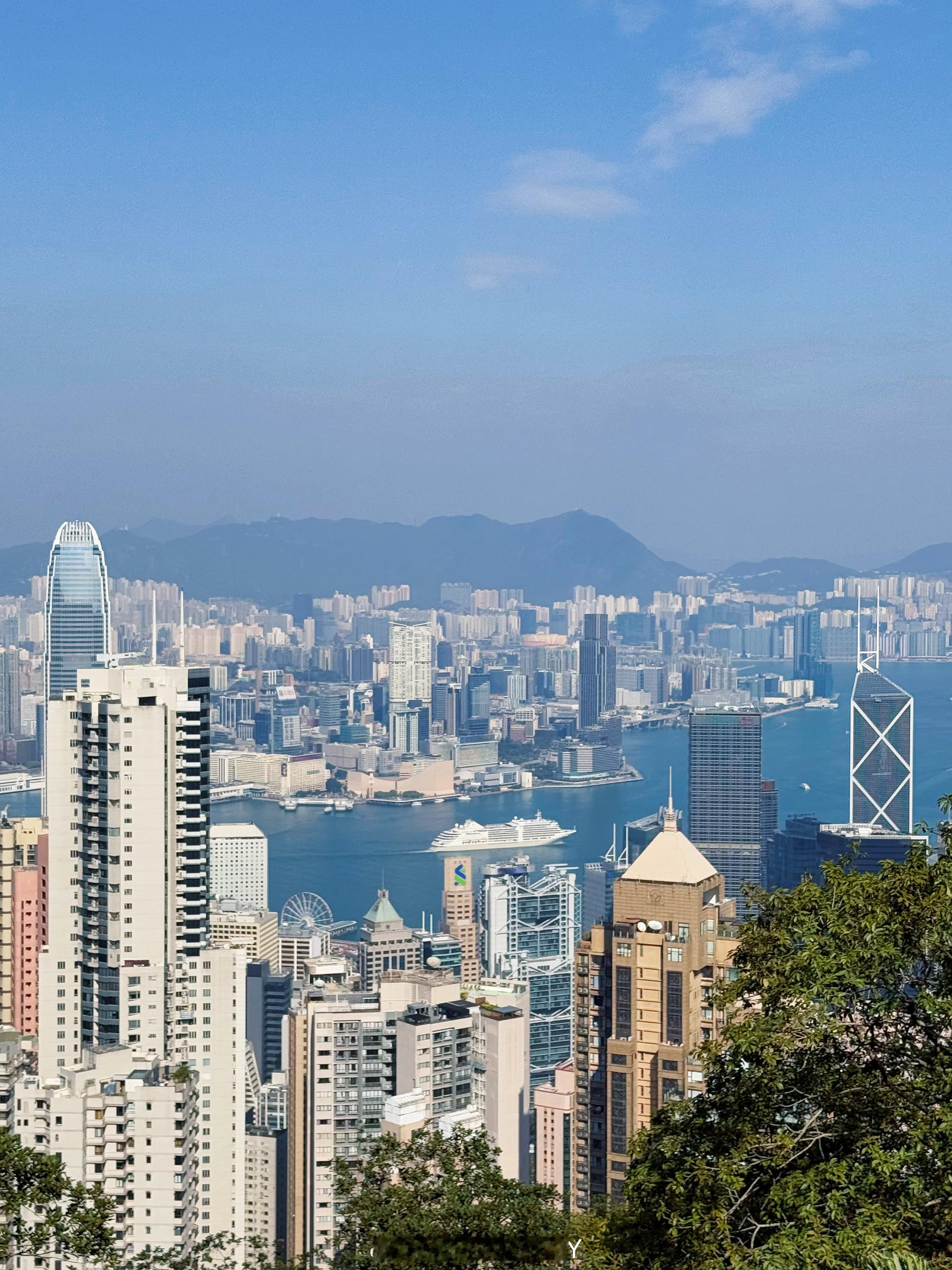 live图～☕️🐎 