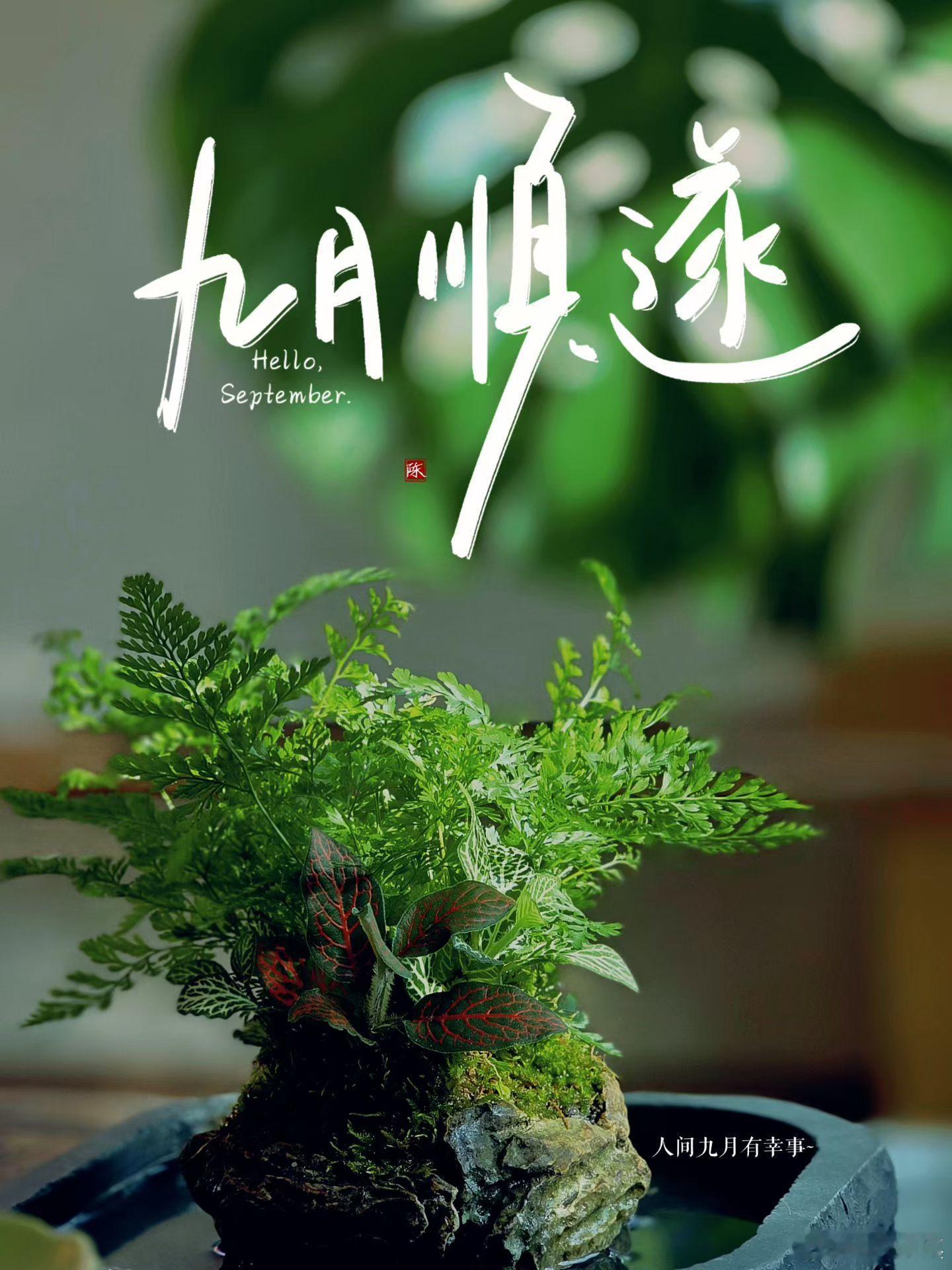 永远相信自己是一个非常幸运且有福气的人wanan晚安💤 ​​​