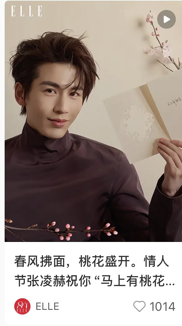 张凌赫五大预告？ 怎么长的有点像某位故人 