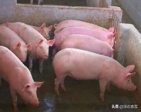 今天早上去了一趟菜市场，五花肉一斤18，瘦肉一斤30元，然而查了一下，3月份全国