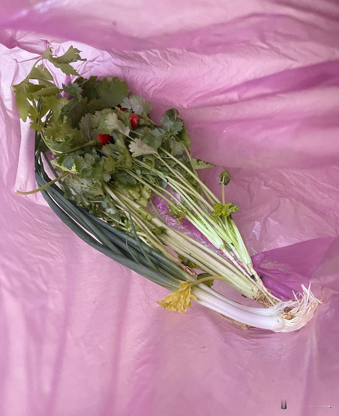 谁懂啊，摆摊一个老奶奶这点菜收了我十一块钱[尬笑]
我是看那个摊位是位上了年龄老