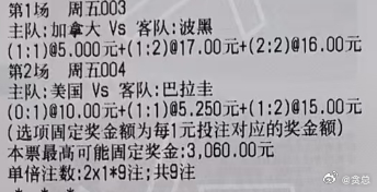 贪总足球：2串：003 世界杯 加拿大vs波黑让负 1-1 1-2 2-2004
