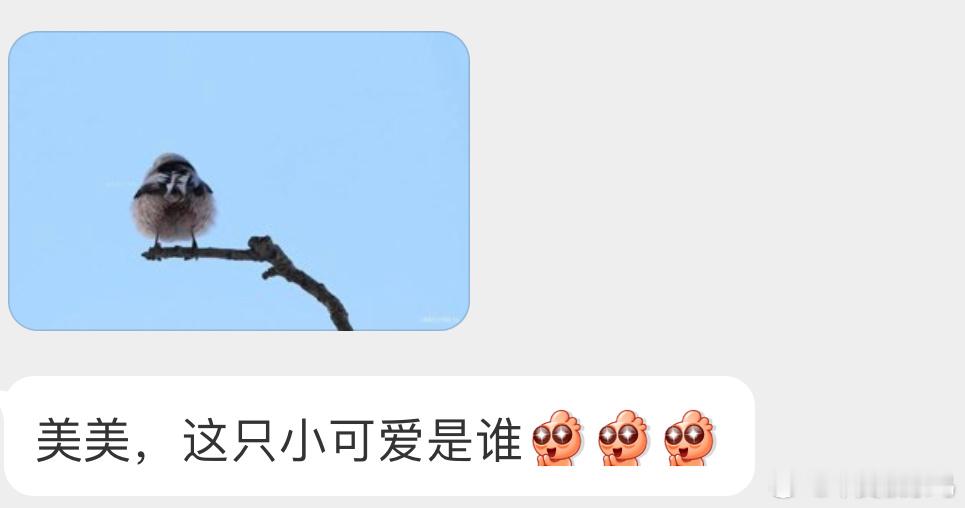 转身背手手的【北长尾山雀】[开学季] ​​​