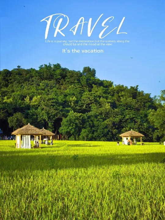 厦门新晋拍照地📸知稻稻田拍照攻略