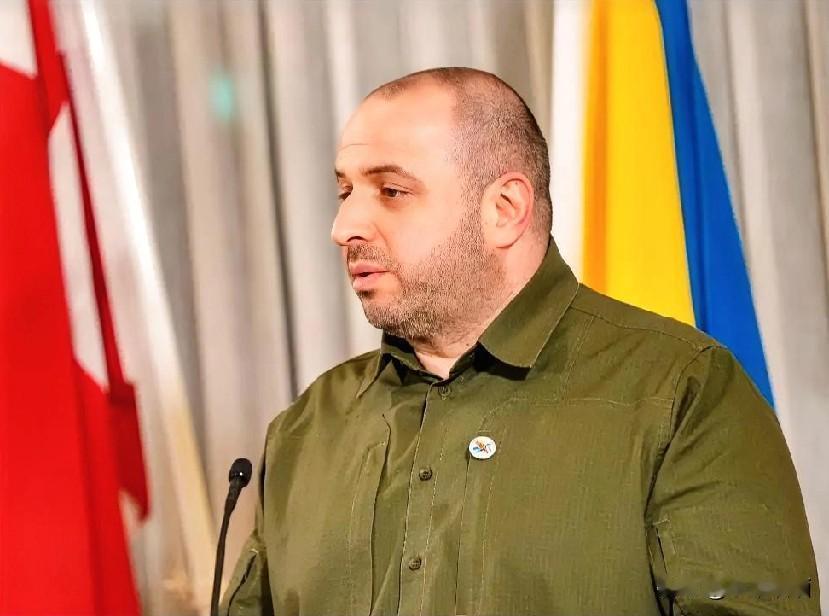 就在刚刚
乌克兰代表团团长传出个“好”消息
12月15日，乌谈判代表团团长乌梅罗