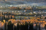 软菠爱聊体育