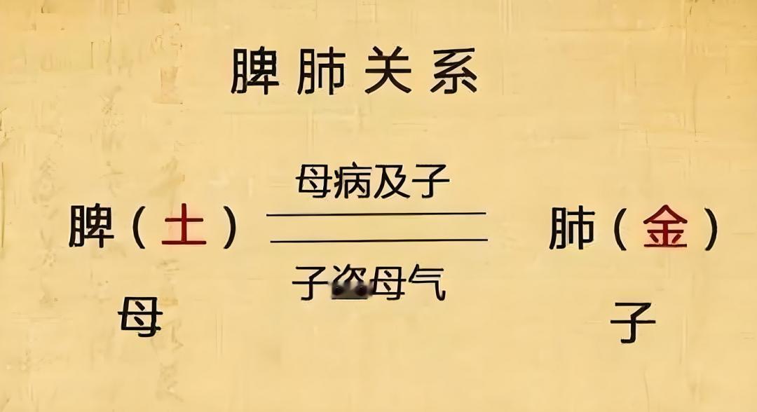 汗在哪里，病就在哪里！肺虚头汗多，脾虚胸汗多，一个止汗方，补足脾肺之气，鼻炎孩子