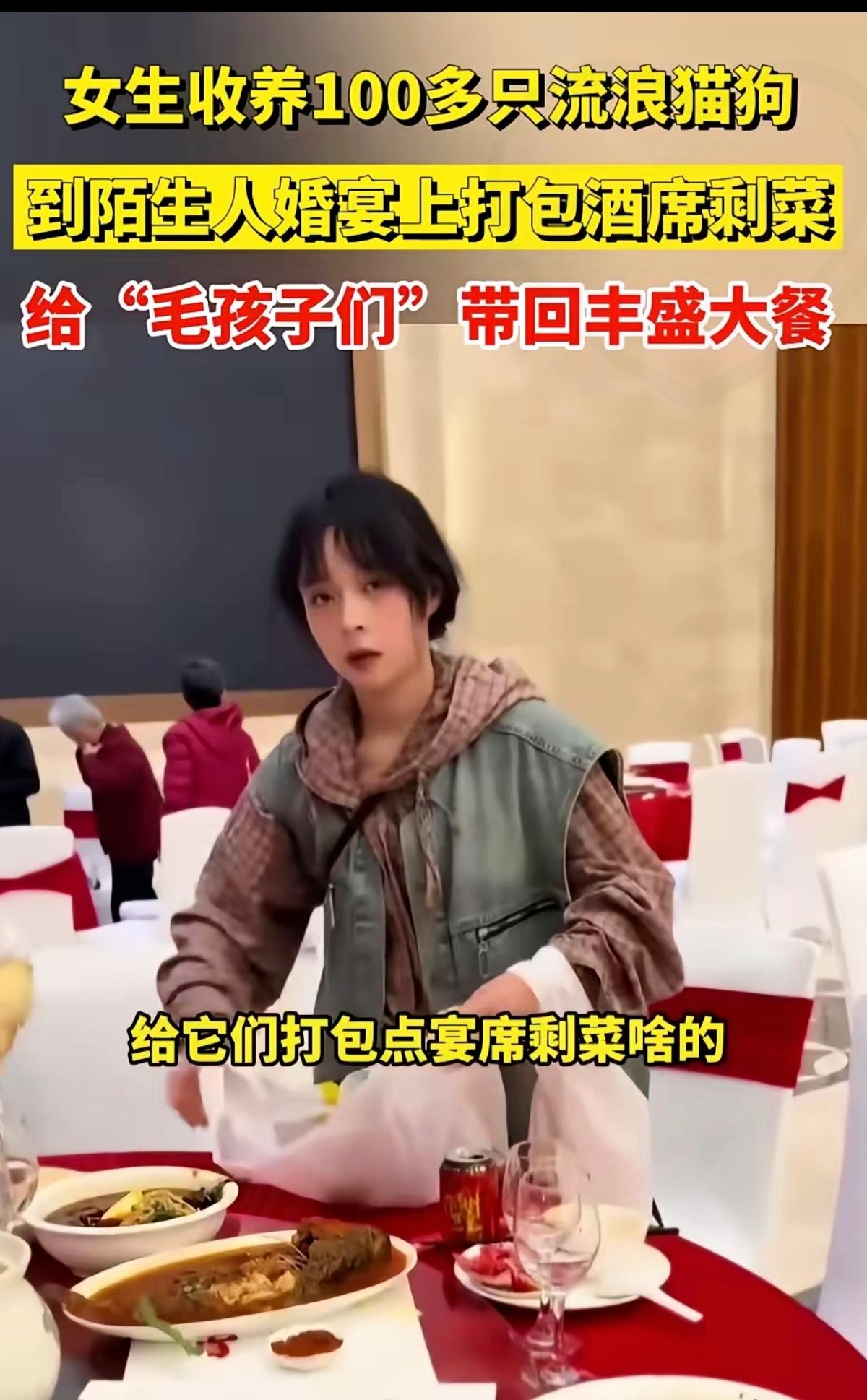 刷到云南这位女生的故事，真的瞬间破防了！为了养活收养的100多只流浪猫狗，她竟放