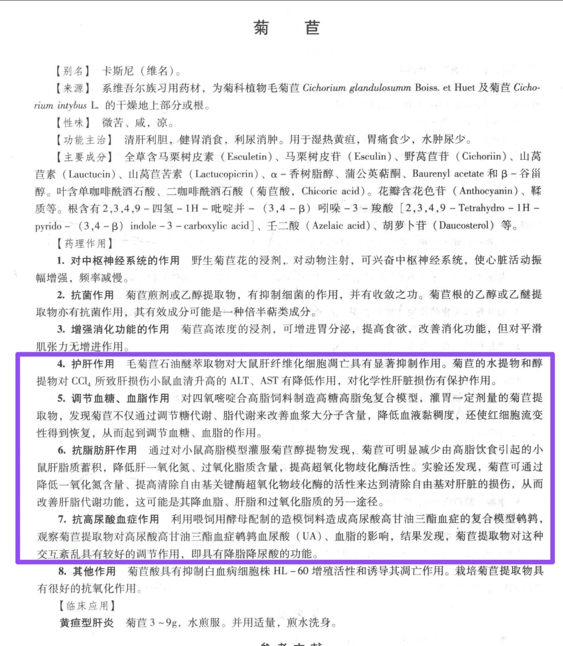 菊苣  现代药理 ​​​
