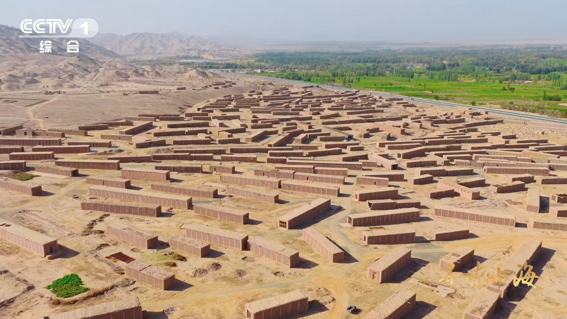 吐鲁番有500余种葡萄干10颗葡萄干里9颗来自吐鲁番数据太震撼！十颗九颗源自吐鲁