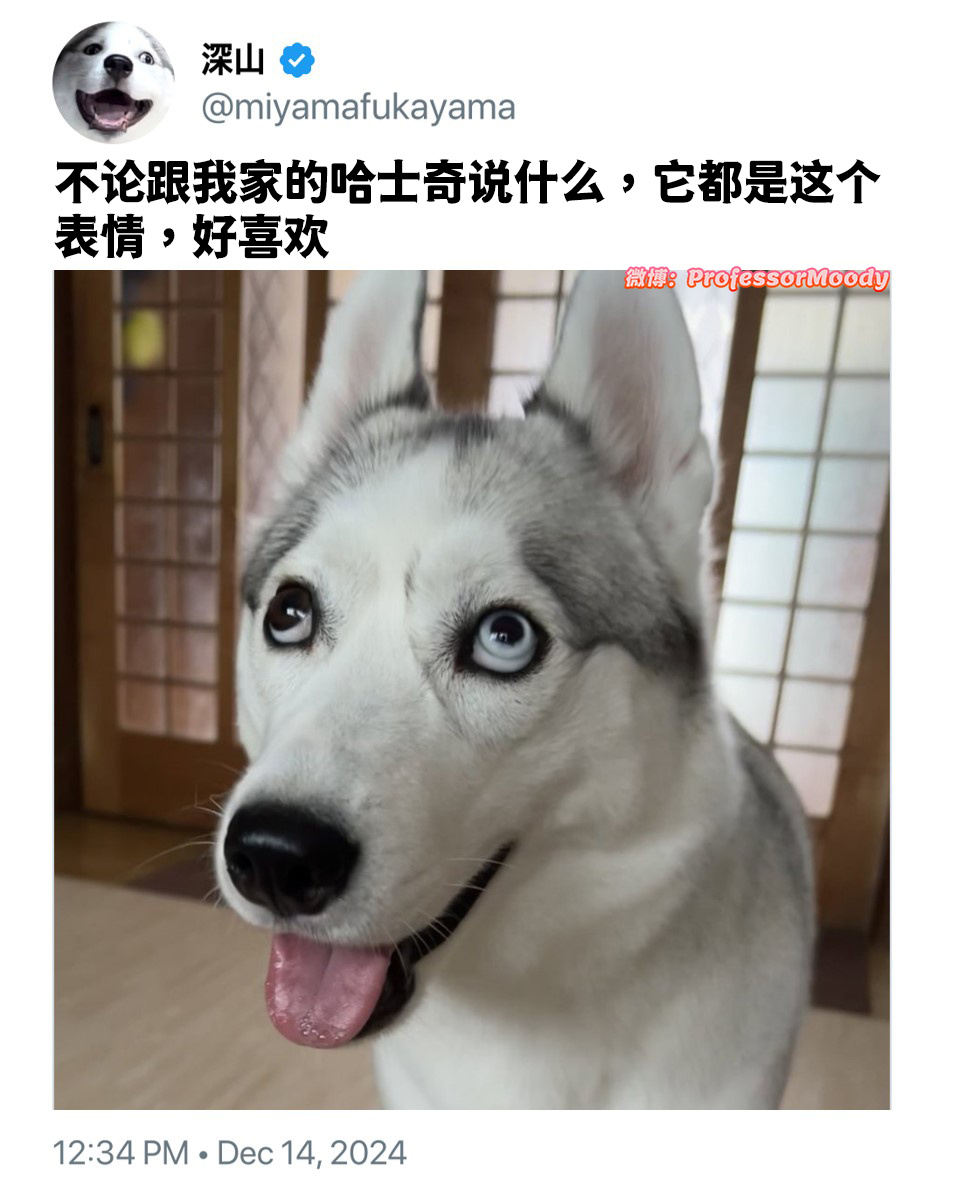 清澈🤪🤪🤪 