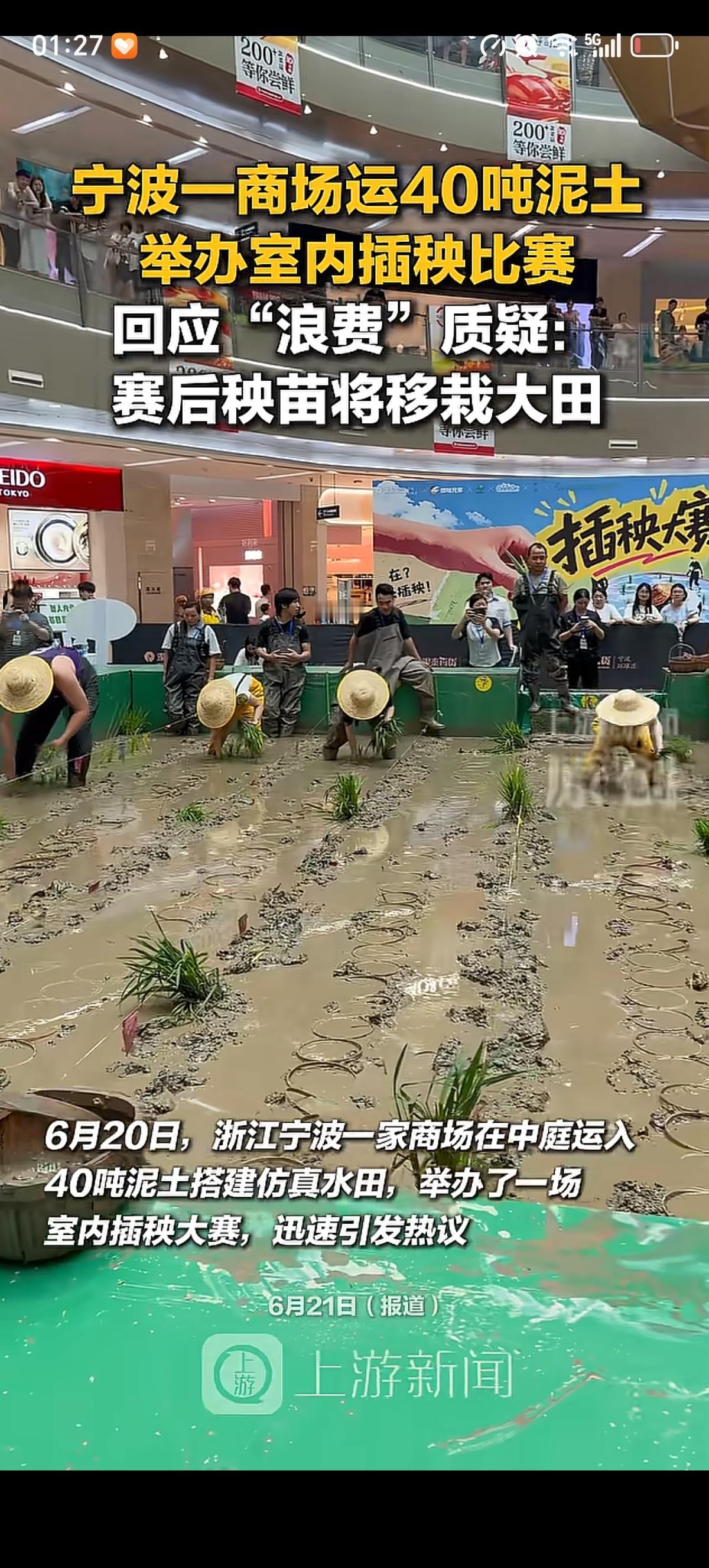 这些秧苗可能一株也活不下来。宁波一个商场为了让城里人体会农村人种田的辛苦，弄了4