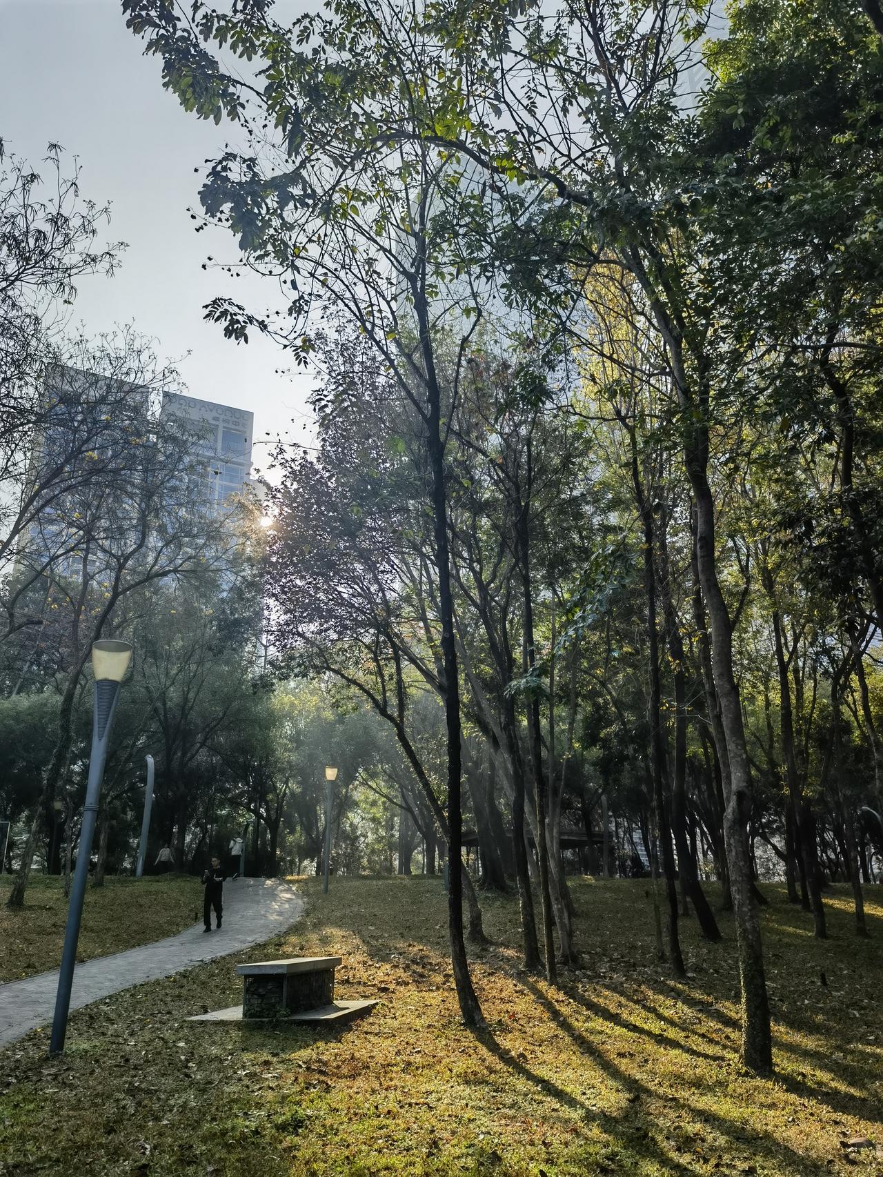 常说道“人有三衰六旺”，身衰、家衰、运衰谁都可能碰上，而丁旺、财旺等六旺也会在不