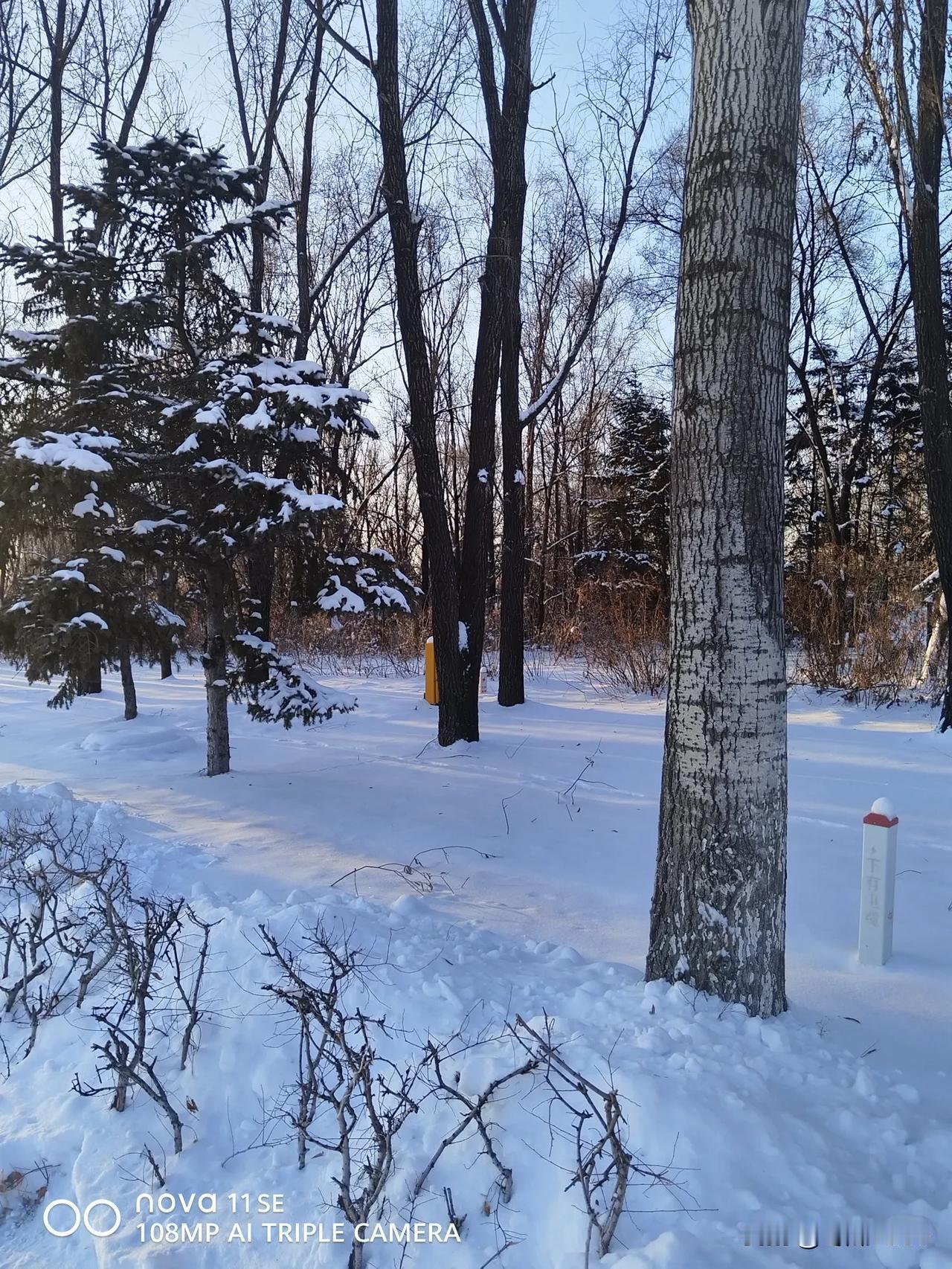 爆料 雪 篮天 篮天