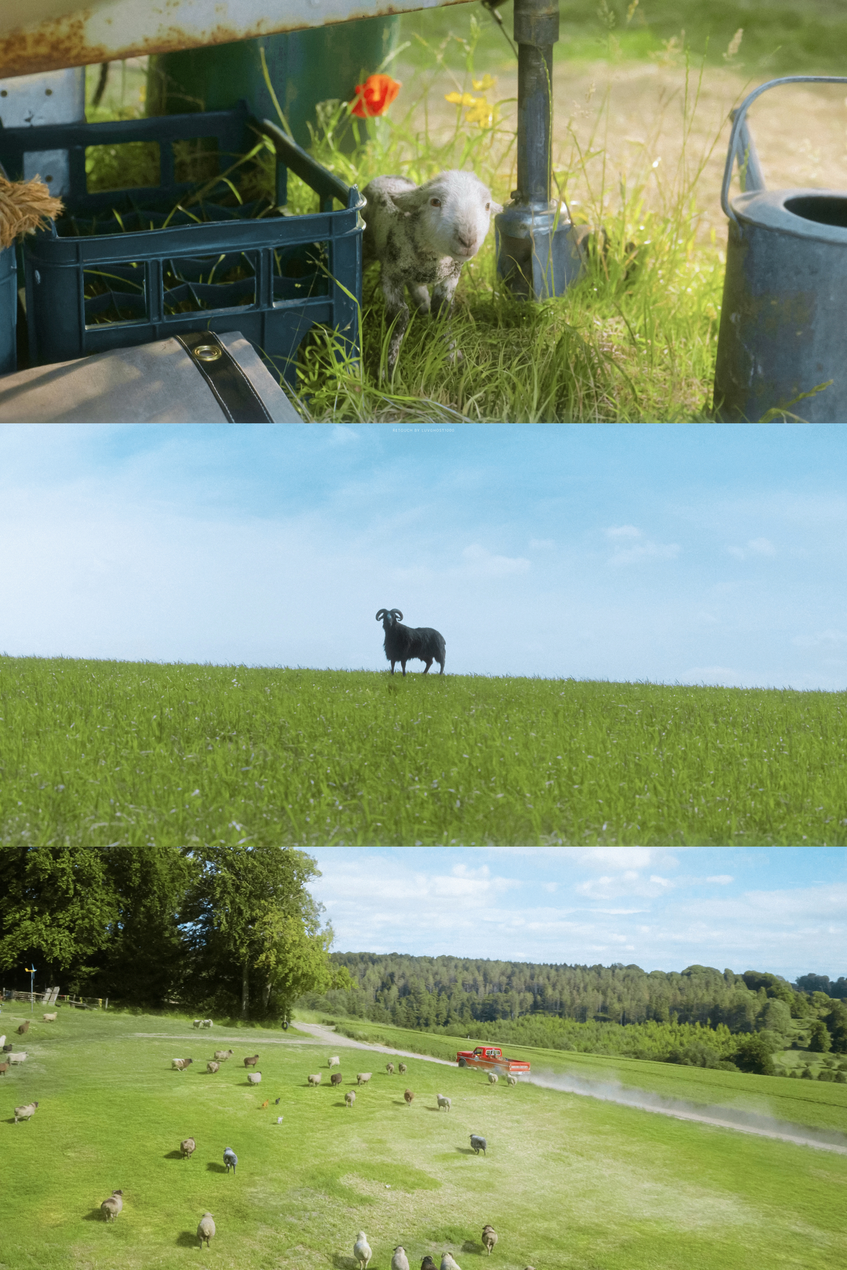 🎞️绵羊侦探团 The Sheep Detectives (2026)天上的每
