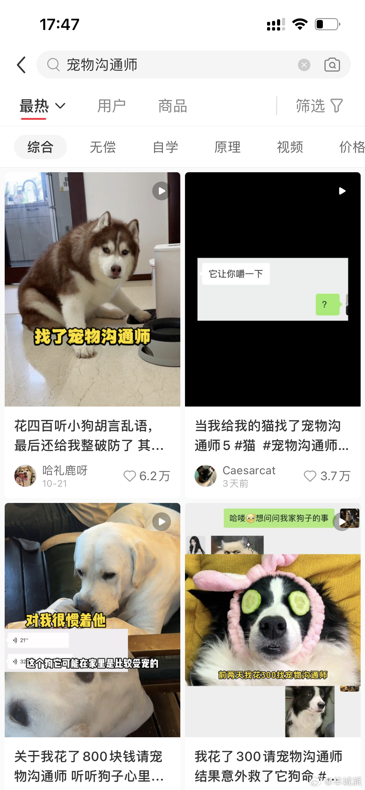 【通过照片就能和宠物对话？“宠物沟通师”的读心术有点玄】宠物已经成为很多人生活中