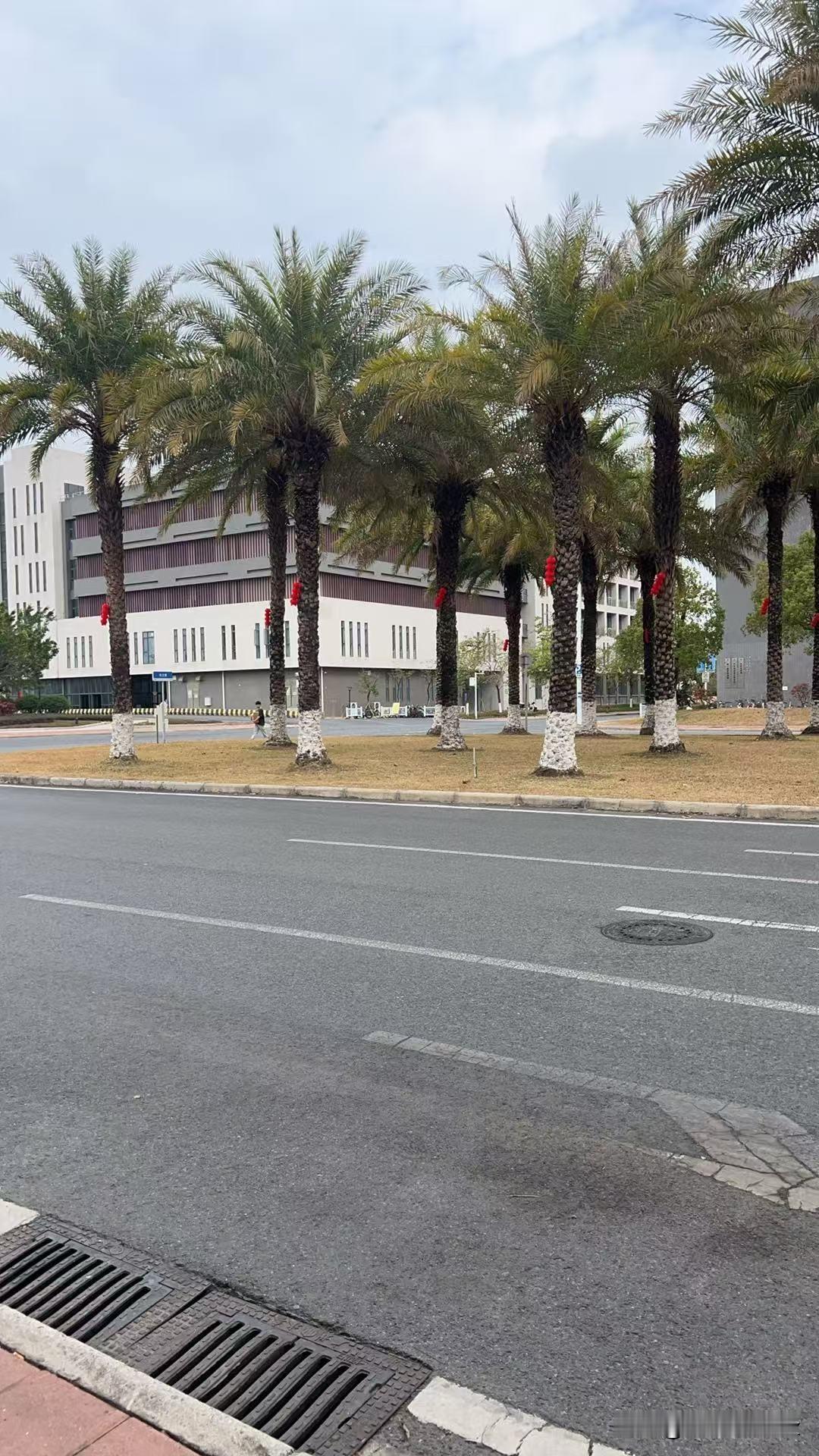 普及高中教育最大的障碍并非资金，而是观念与制度壁垒。
国家对高中教育保障力度持续