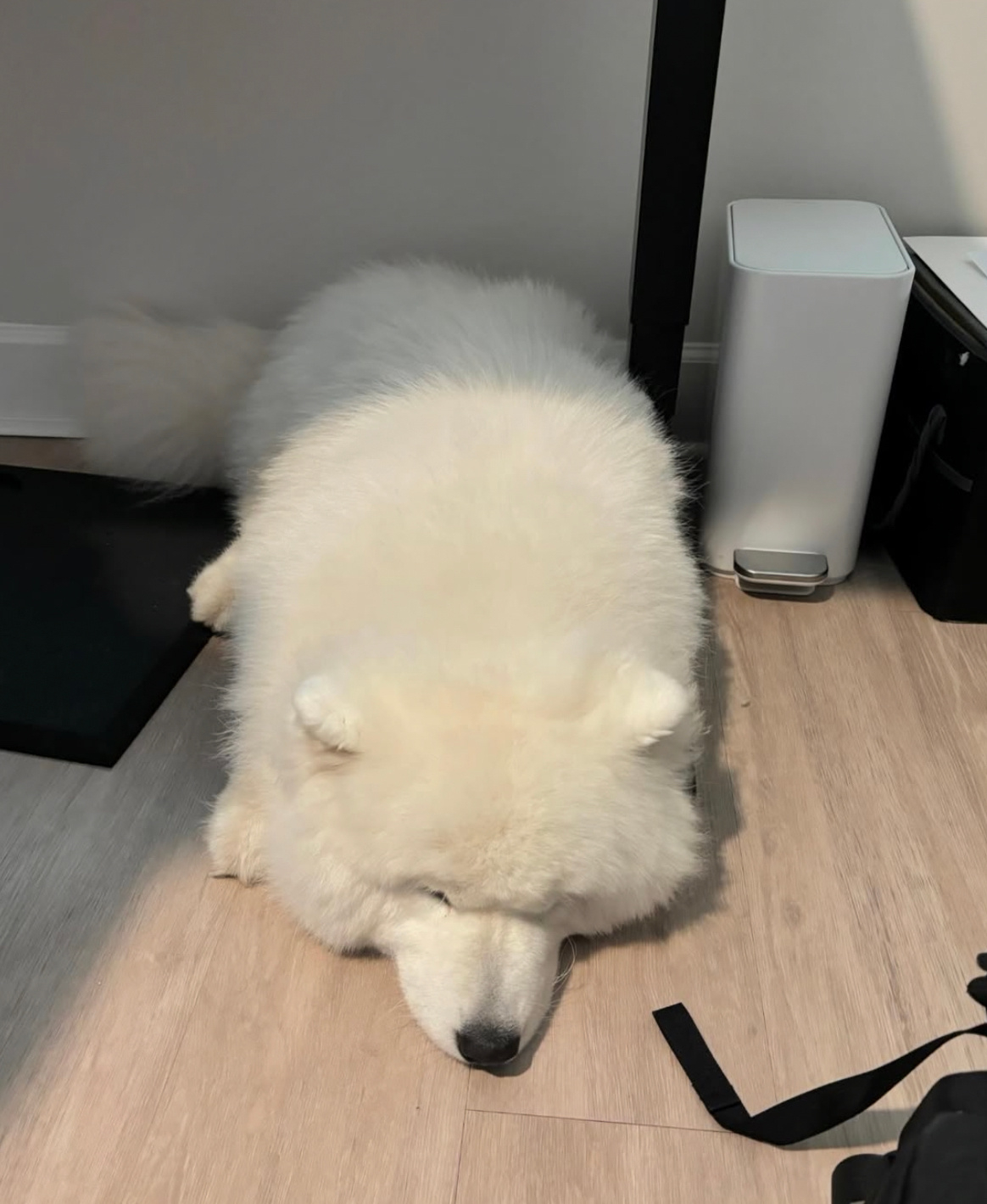 晚安耶 ​​​
