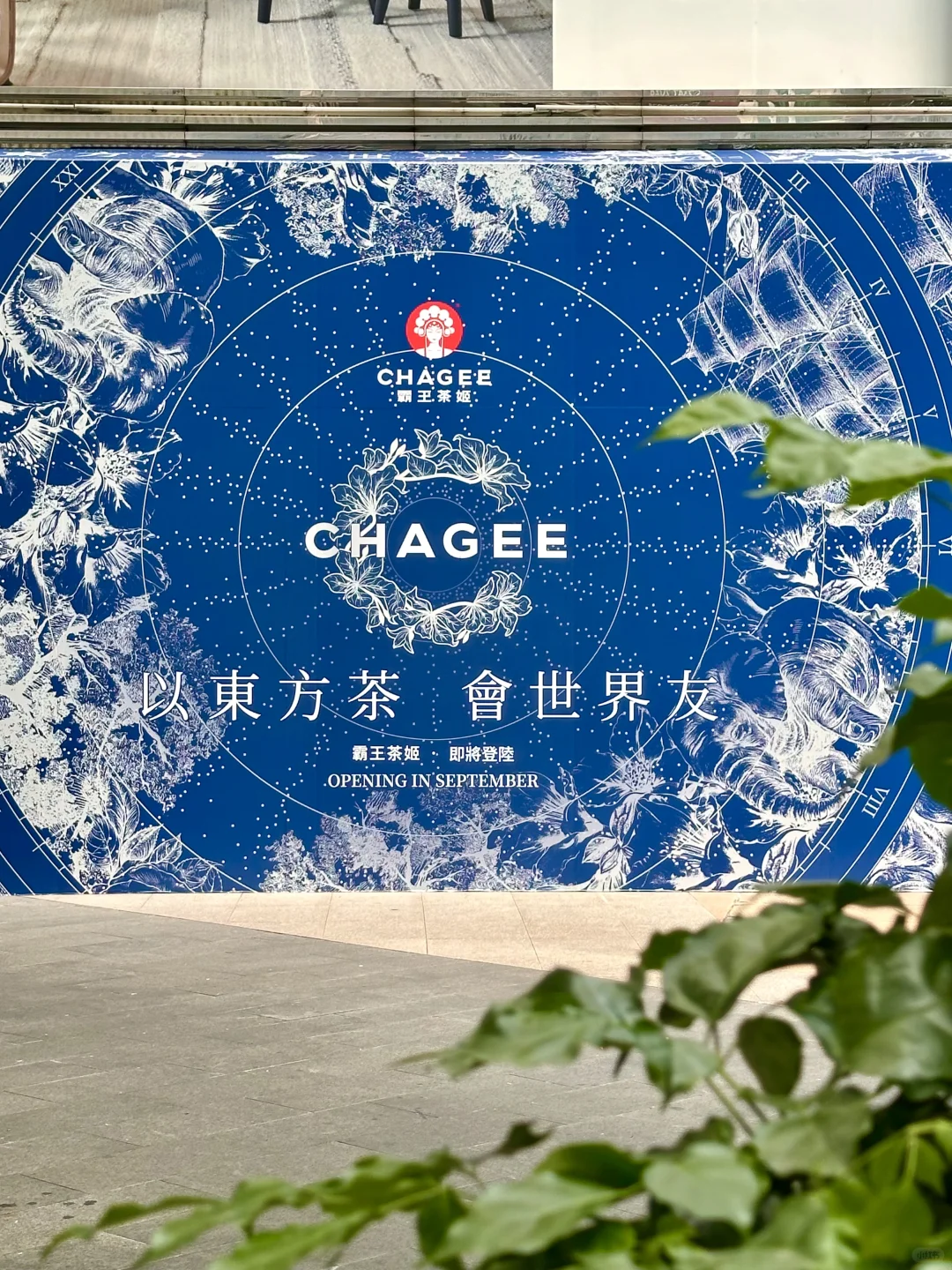 都收到风了吧？霸王茶姬要来香港是真的！