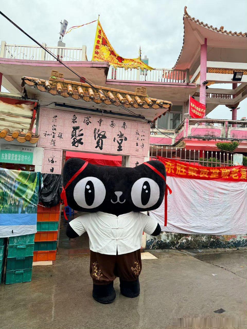 佛山龙舟赛场小猫美美观赛 叠滘龙舟赛好会整活！天猫x美的的“广东冰室”太懂了，打