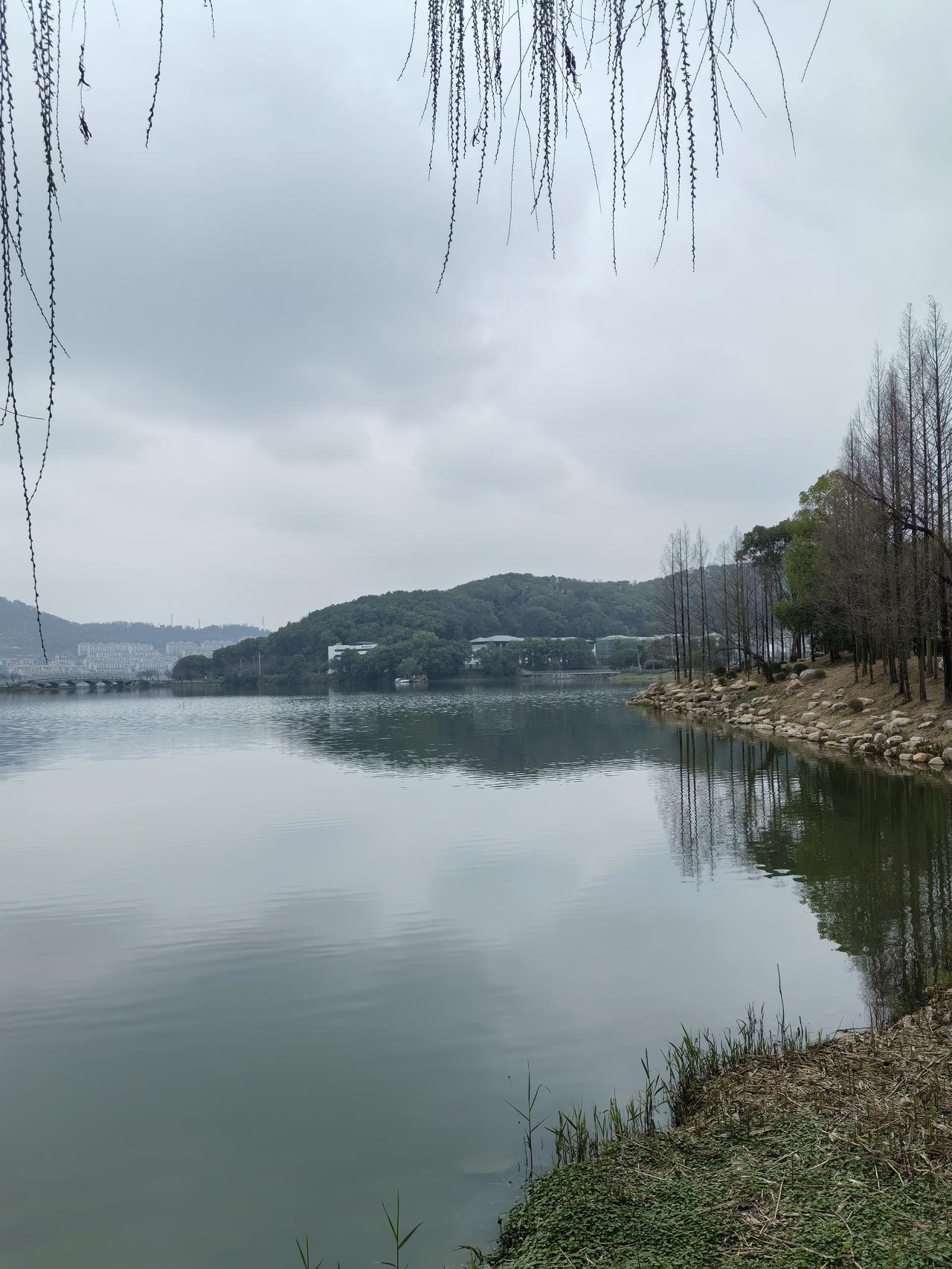过年啦，天南地北大拜年！过去一年，咱在不同城市打拼，有汗水有收获，有忙碌也有温暖