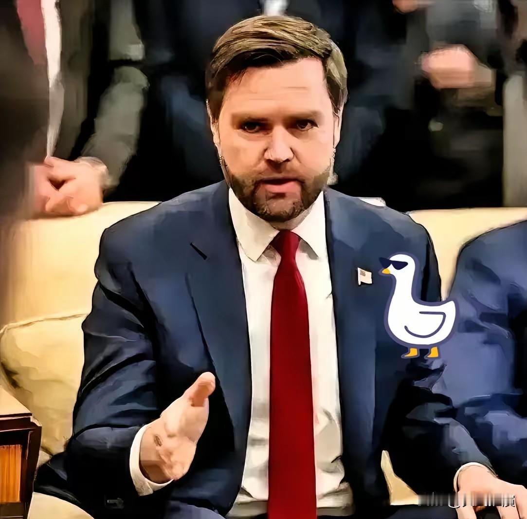 万斯一句话，算是把美国人的底裤给扒了个干净！

美国政客心里真实的想法，这次被万