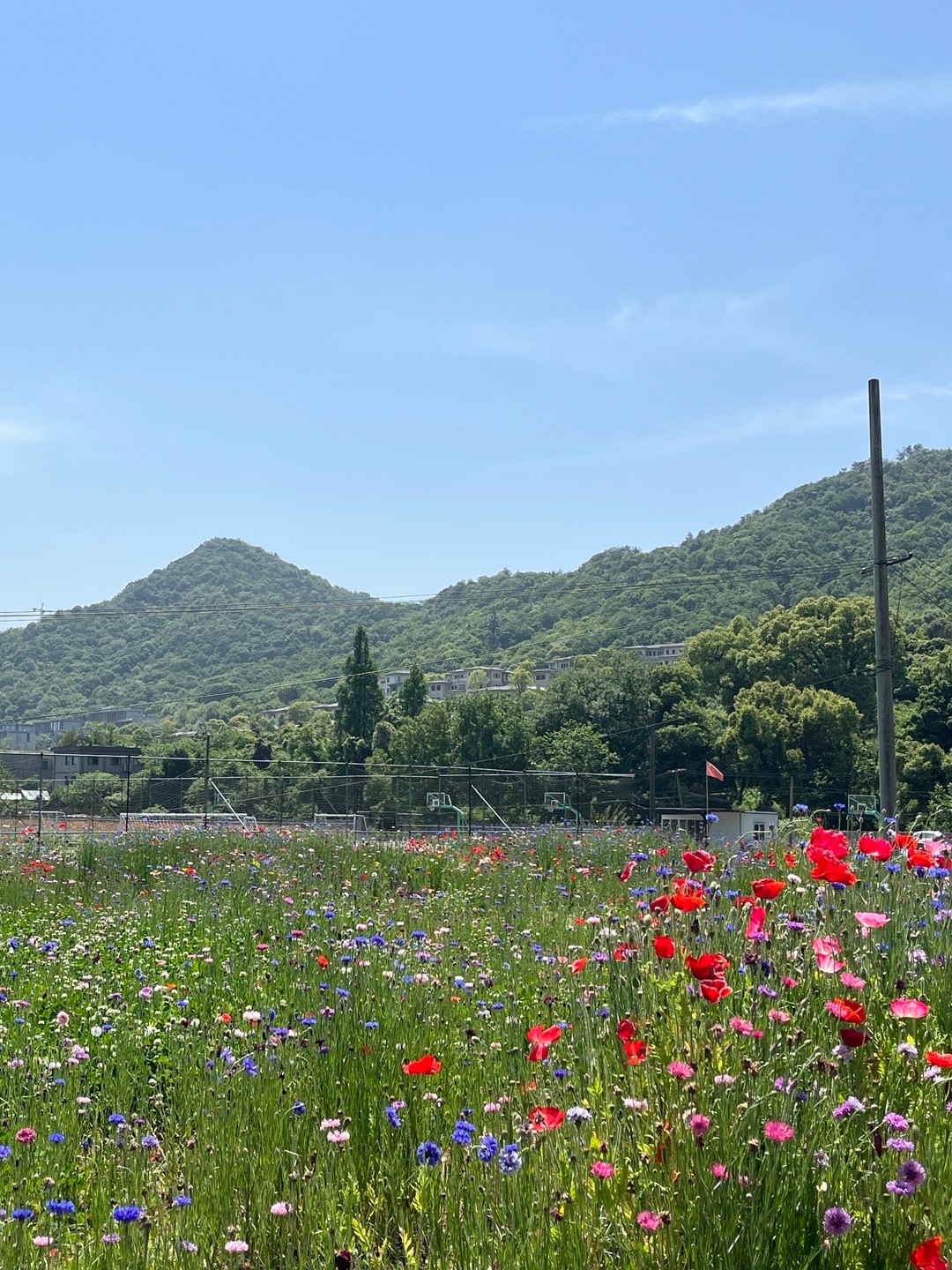 还是会心花怒放吧 ​​​