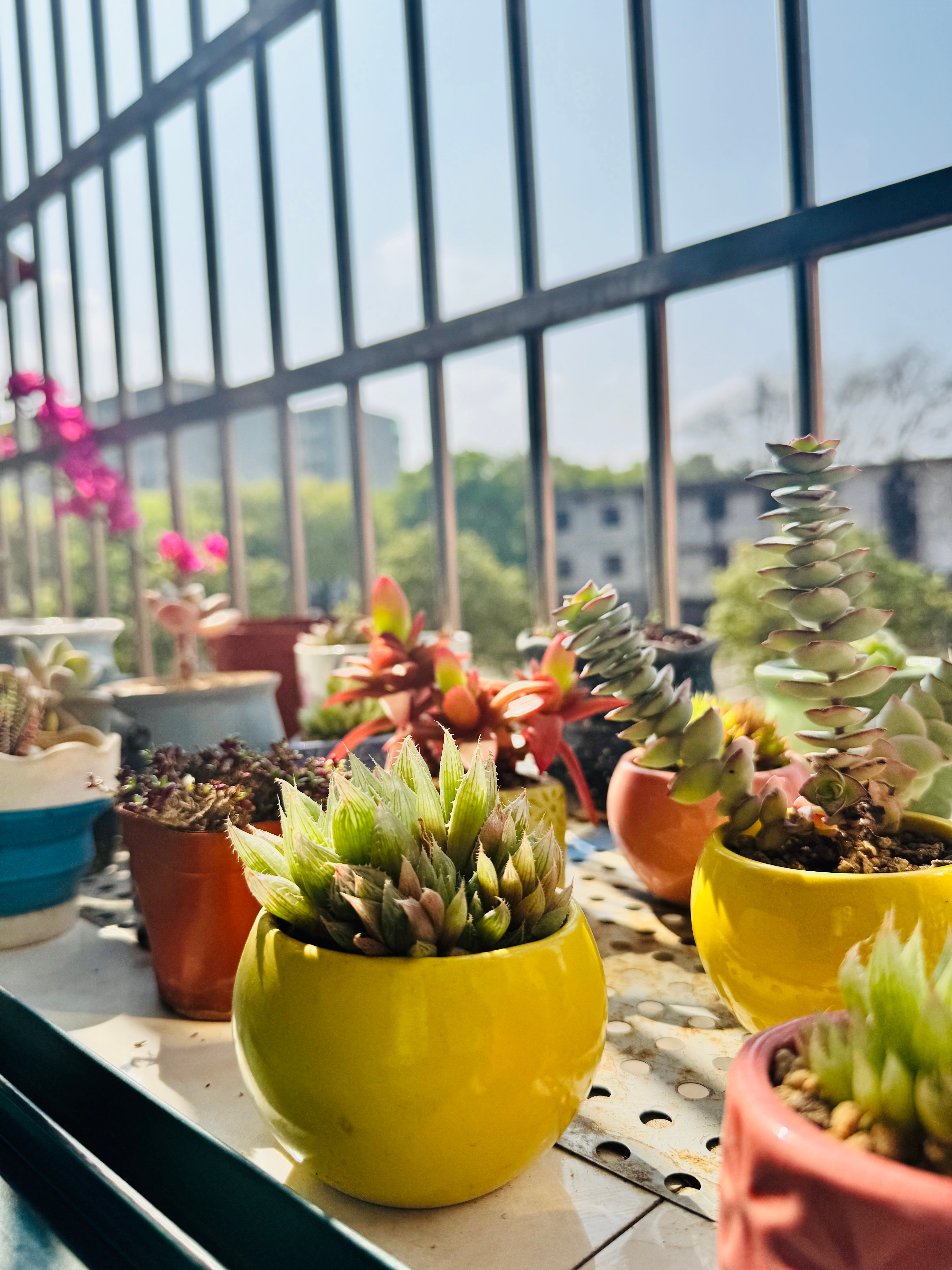 感受一个好天气