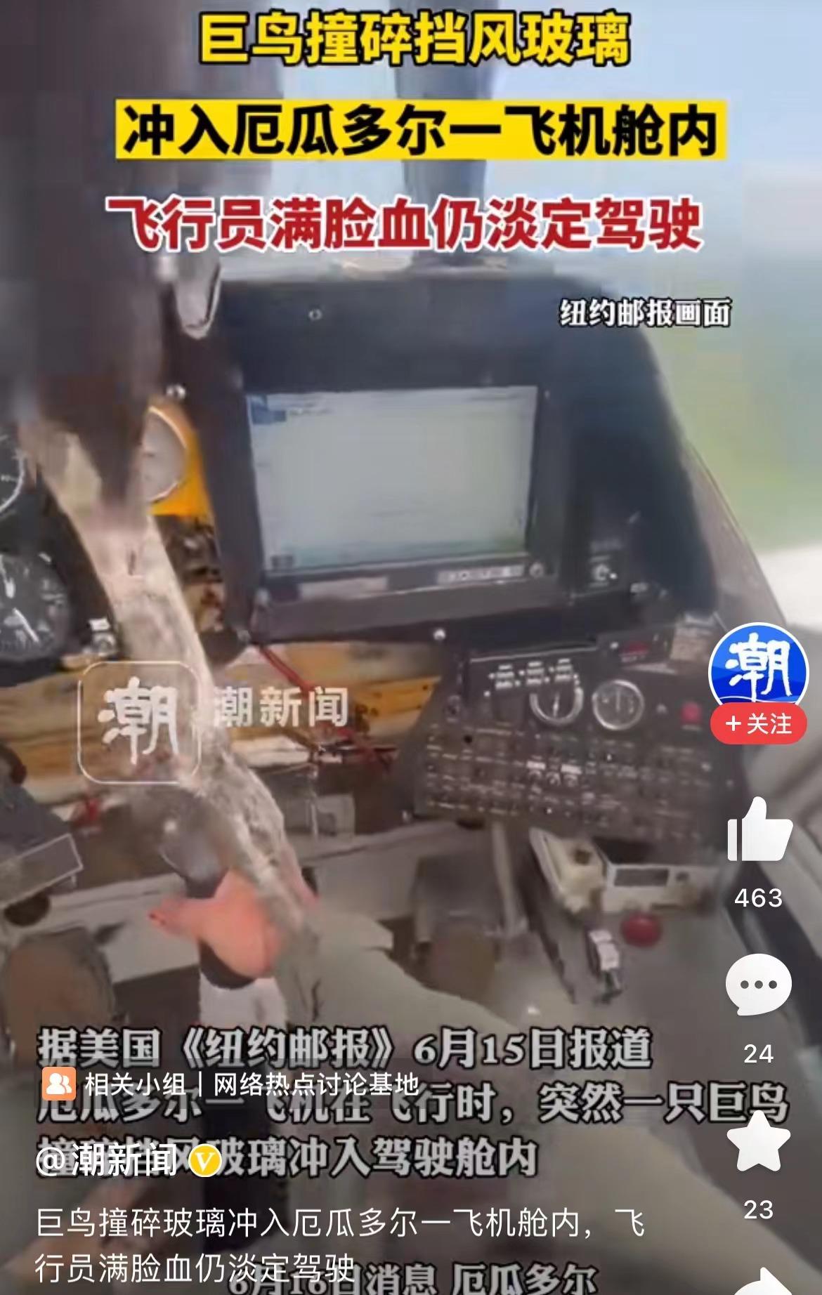 悲痛，全球都在倡导保护生态、保护动植物的时候，没想到意外还是发生了，这一次人类依