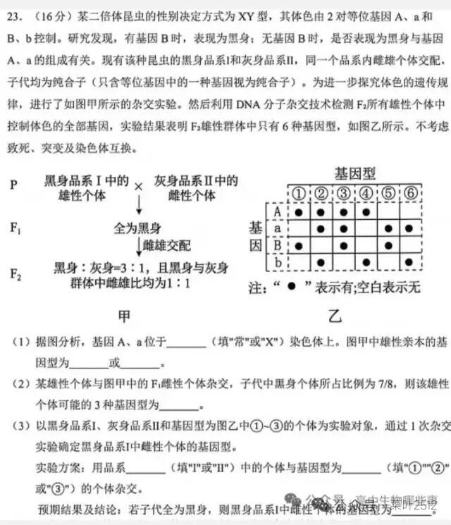 2026年山东高考生物第23题答案与解析

答案：
（1）常，AAXᴮY，aaX