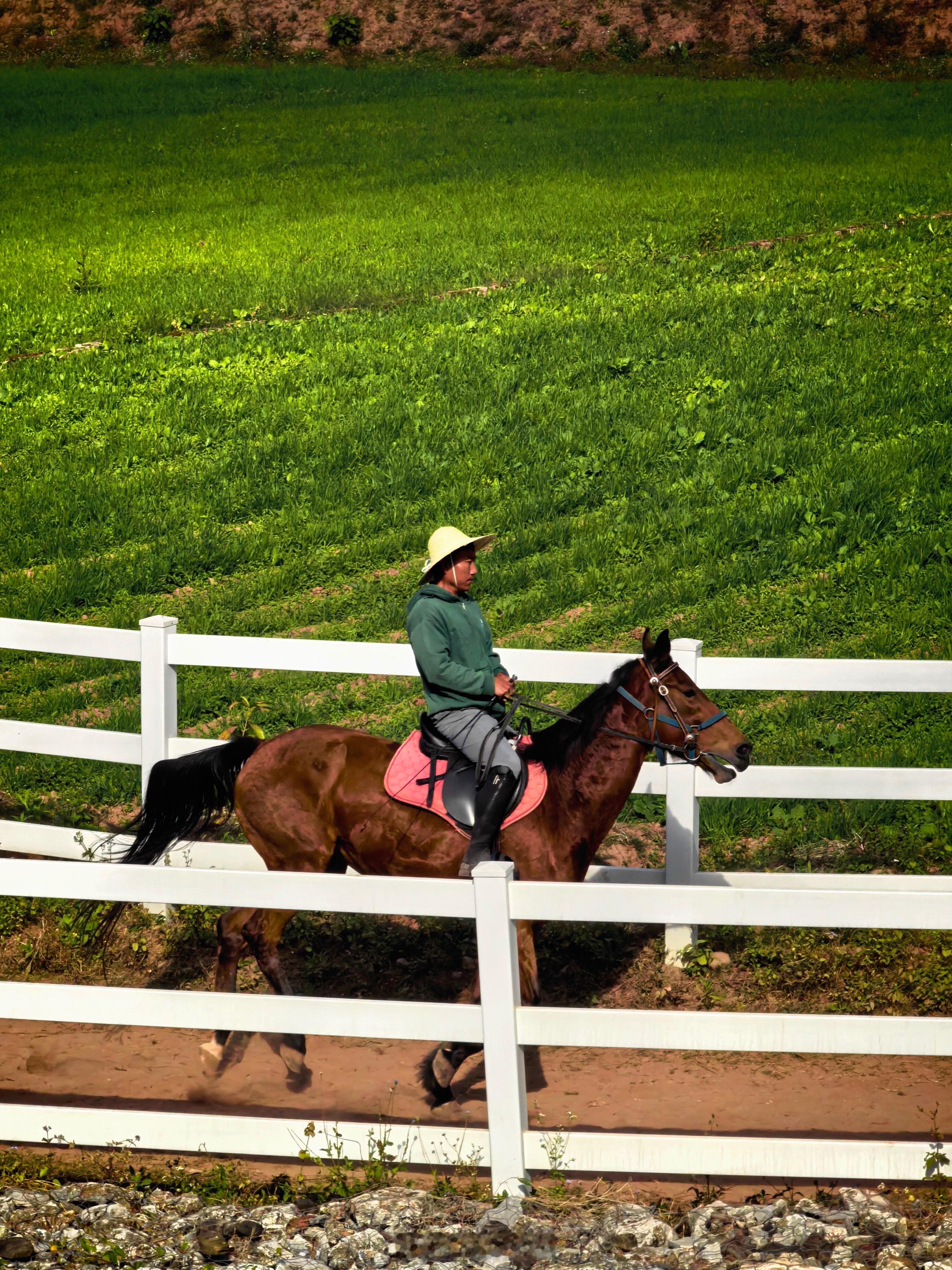 藏在云南普洱的有风咖谷，是一片被咖啡田温柔环绕的静谧天地。推窗望去，满目皆是绵延