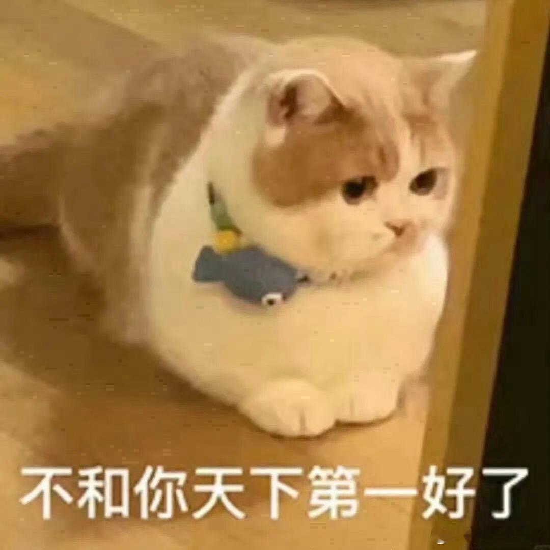 我跟某人聊天 说足球 在说历届世界杯的一些强队战绩什么的然后说到比利时 瑞士 我