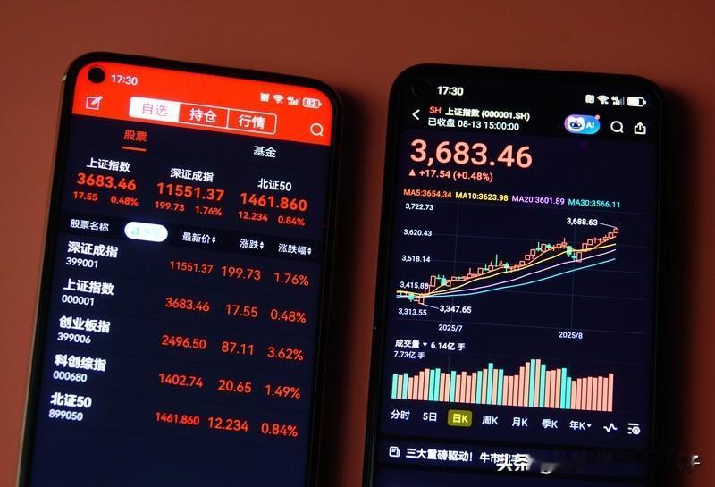 A股“13连阳” 散户机构都在入场 元旦后A股这“牛气”简直挡不住，到1月6日沪