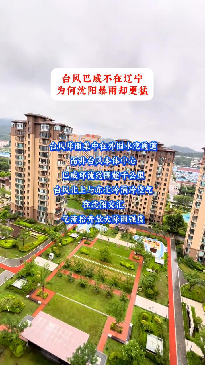 台风巴威不在辽宁，为何沈阳暴雨却更猛？
台风降雨集中在外围水汽通道，而非台风本体