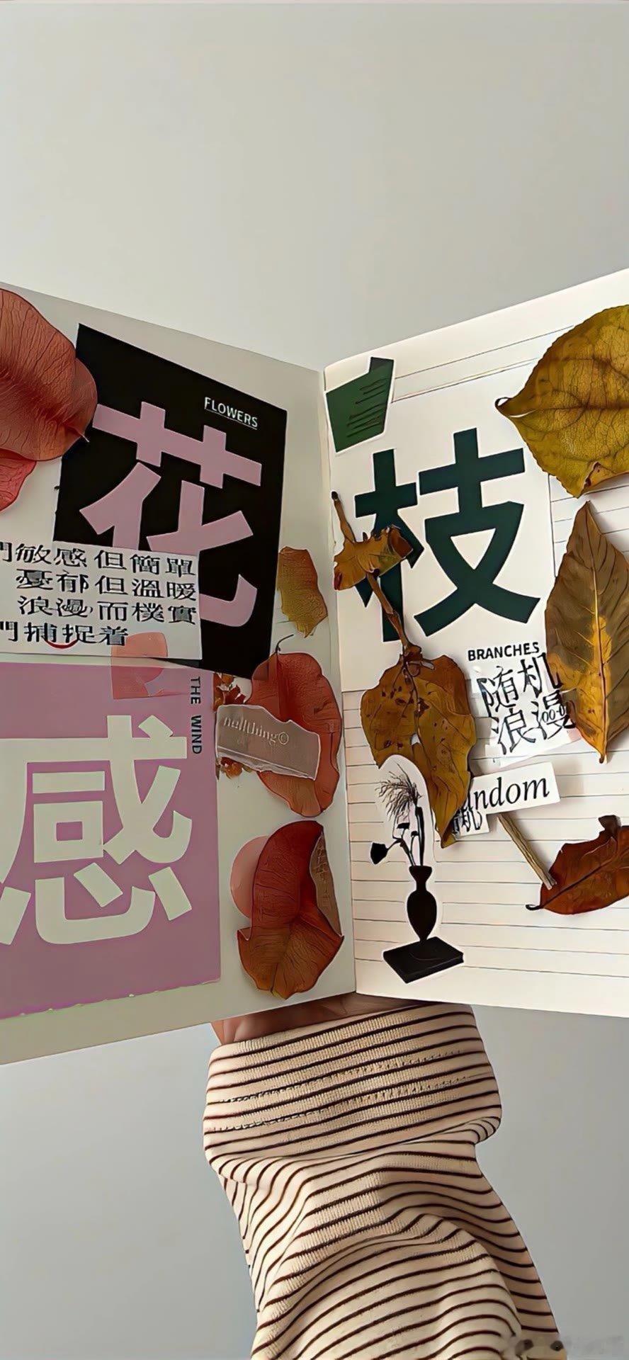 把你的脸迎向阳光，那就不会有阴影壁纸壁纸手机壁纸高清壁纸无水印朋友圈背景图