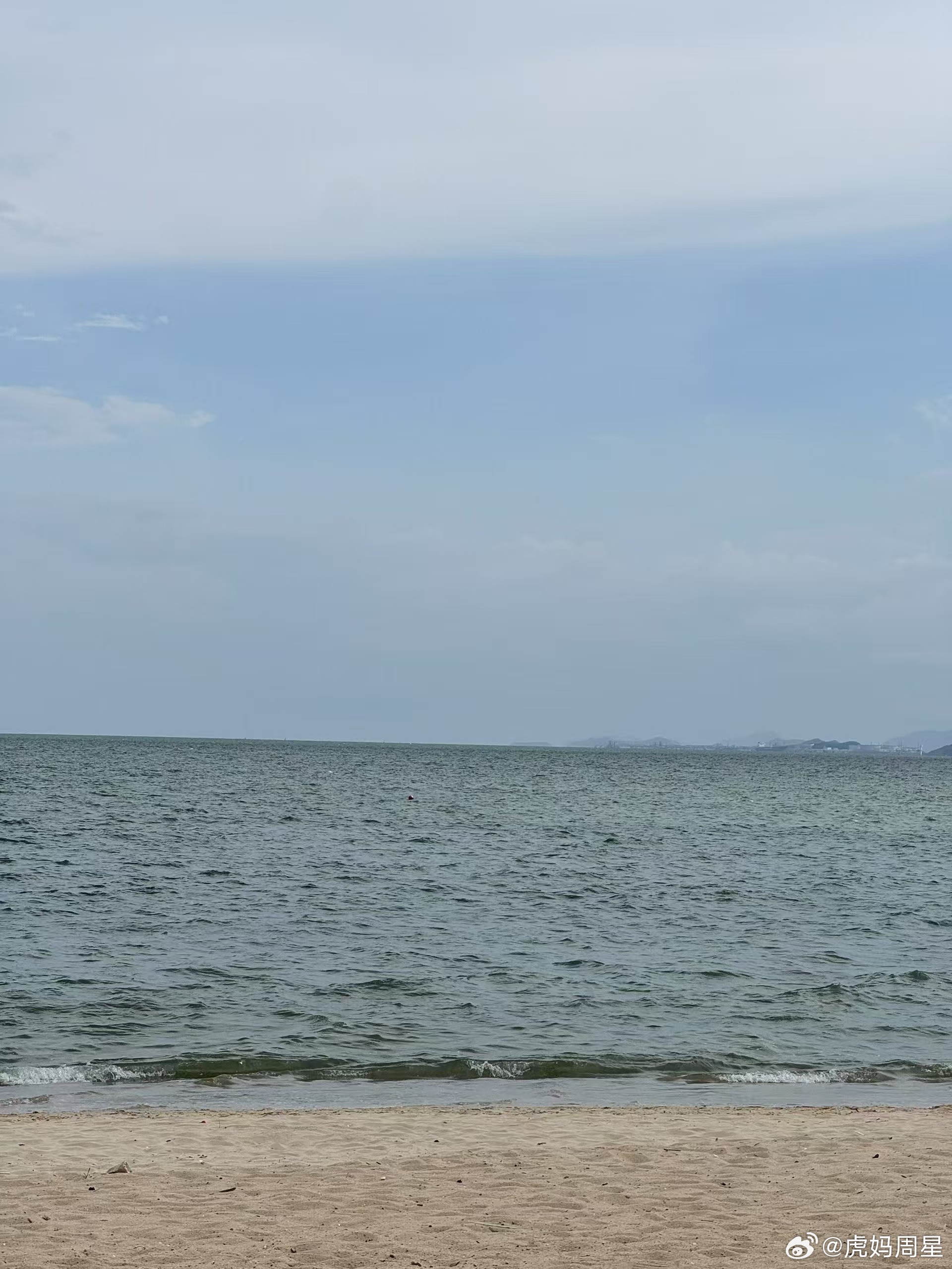 海报捉到一只小海哲，家里太热了，空调感觉都不制冷了，来吹吹海风[笑cry][笑c