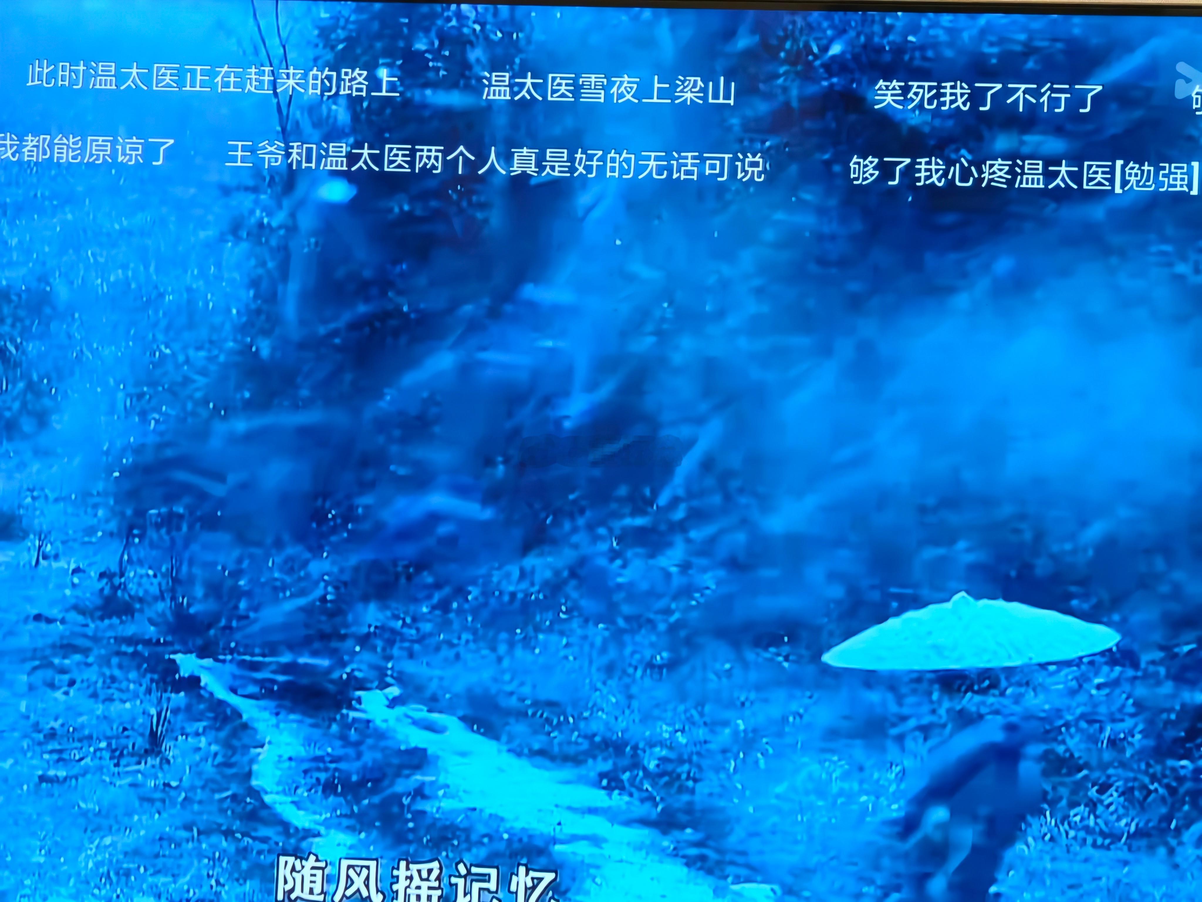 感觉温太医也很好，只不过甄嬛对他不来电