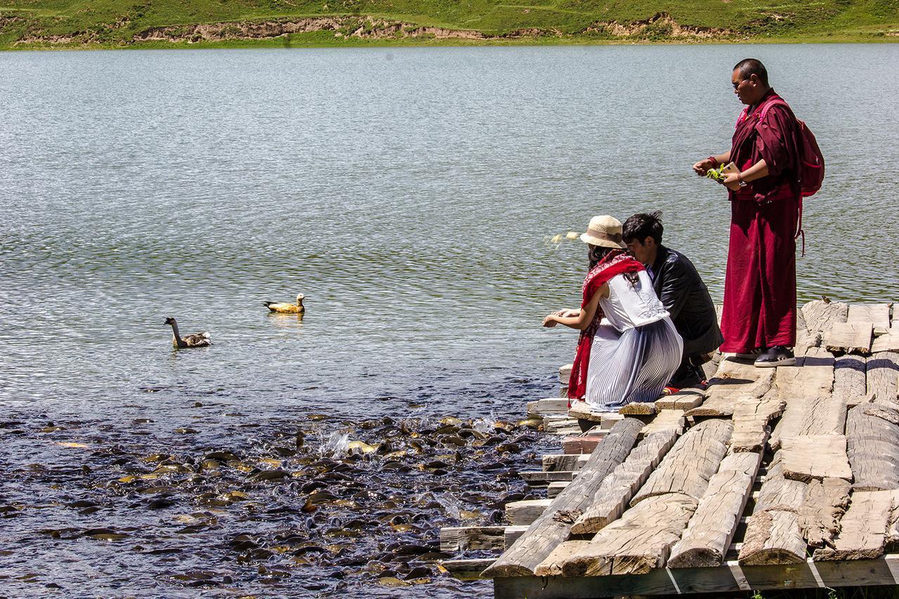 1706年，一个年轻的活佛从囚车里走出来，他提出在青海湖边坐一坐，可这一坐，就再