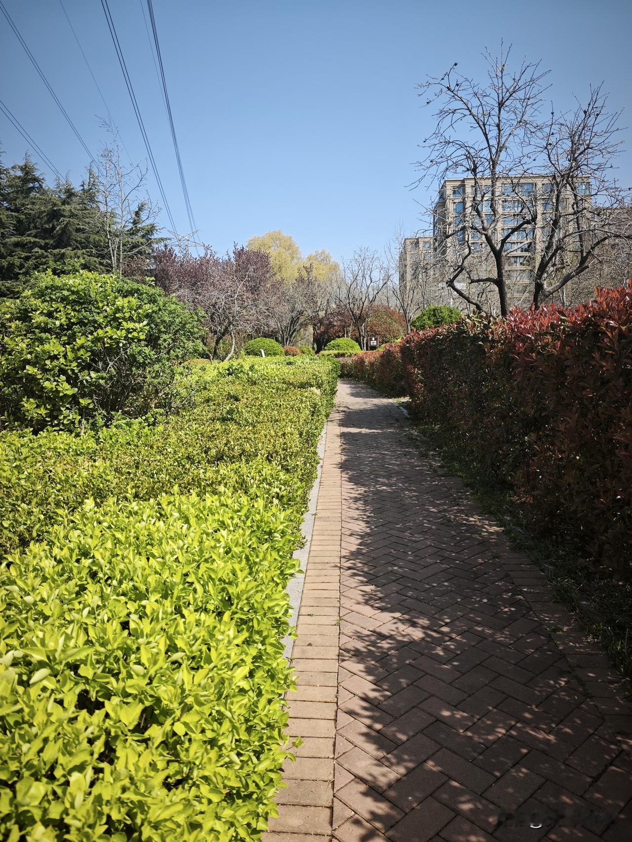 我咋感觉又上当了呢？昨天去社区医院开药。

然后大夫说，肿瘤标志物化验，搞活动，