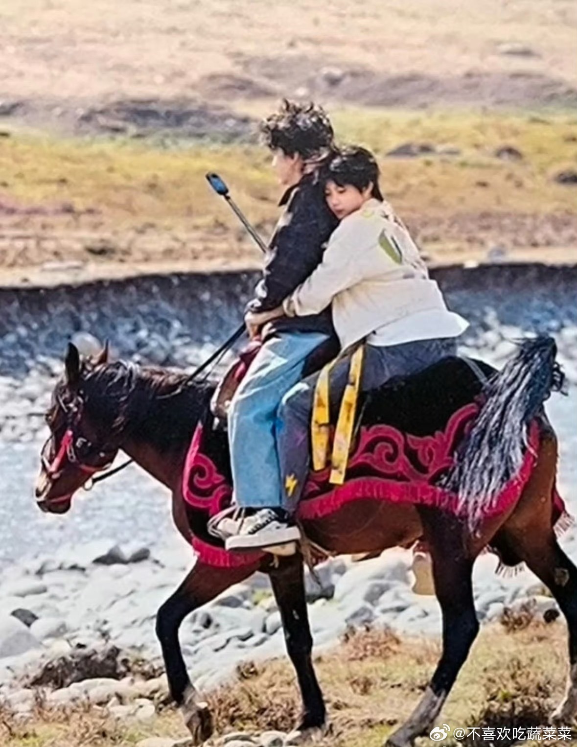 tg 谁的小娇妻？ 