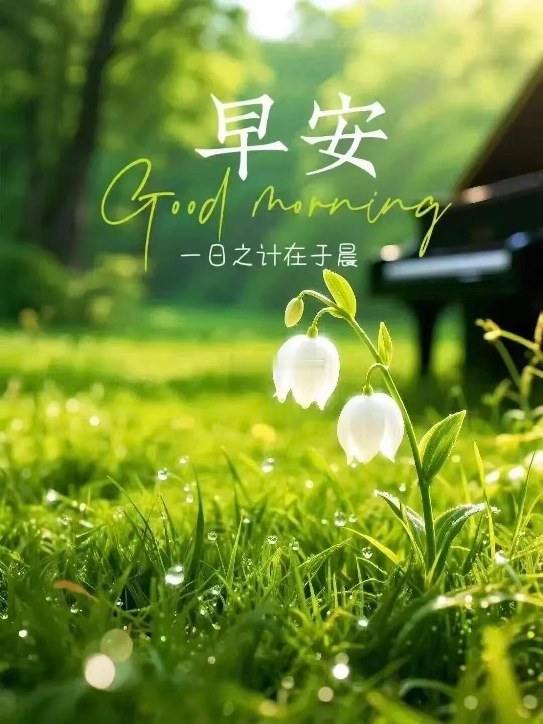 【周三，早安】崭新的一天启程了，也许当下有些彷徨，但请相信所有美好都在前方，静静