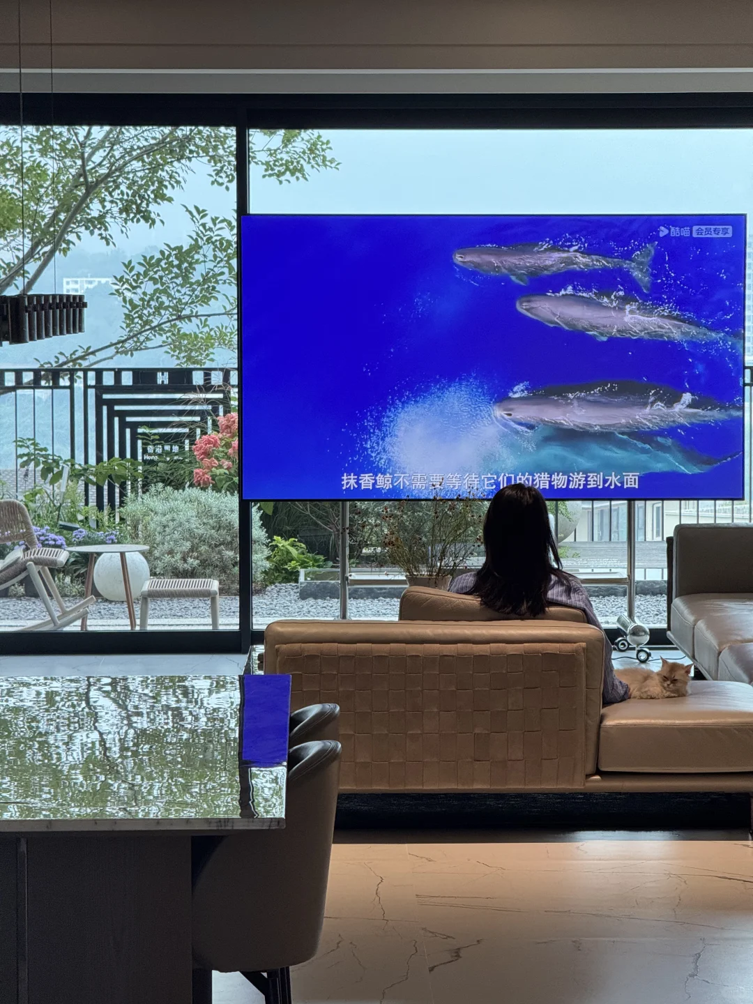 一楼的房子别买🏡副作用太大❗️