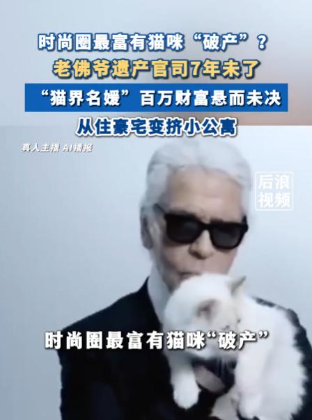 万万没想到，一只猫也会陷入遗产风波，时尚界传奇人物卡尔·拉格斐去世之后，他给他的