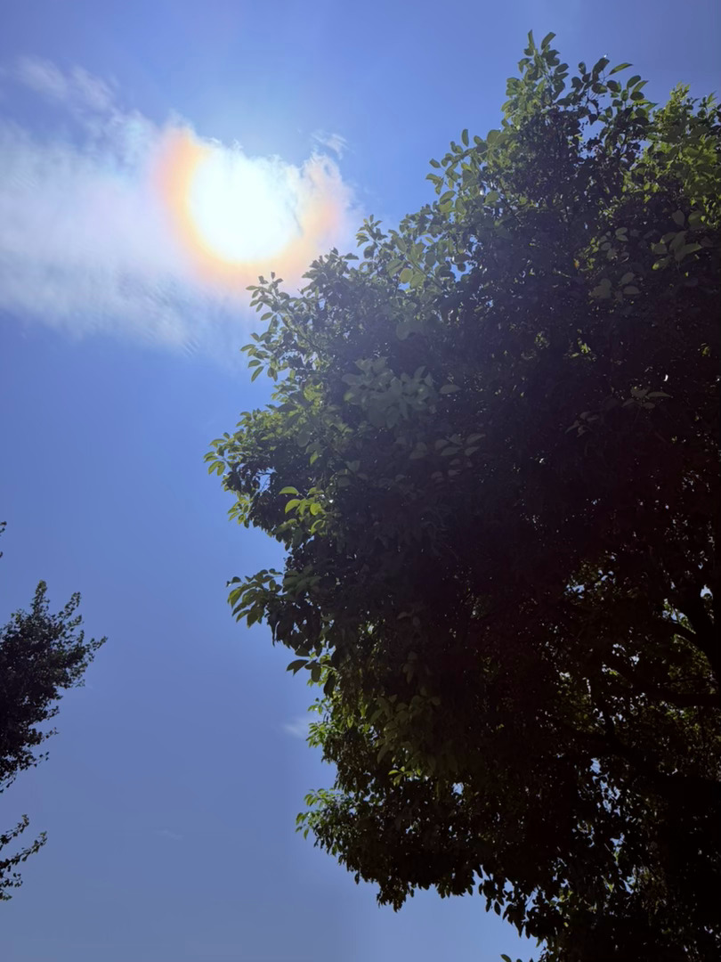 生活手记记录真实生活摄影摄影摄影 晴空日晕，盛夏清欢抬首邂逅一场难得的天象，澄澈