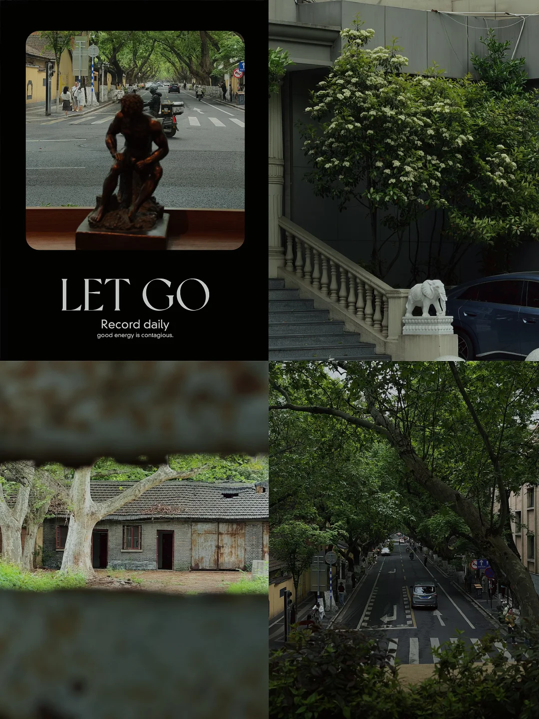 ☁️🍃南京颐和路｜爱上阴天的强行降噪