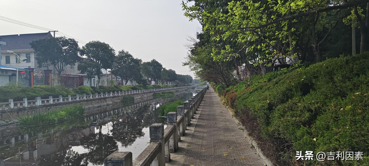 进寺的人或跪拜祈福，或静香祷祝，都在祈求菩萨保佑国泰民安，家人安泰，前程似锦，好