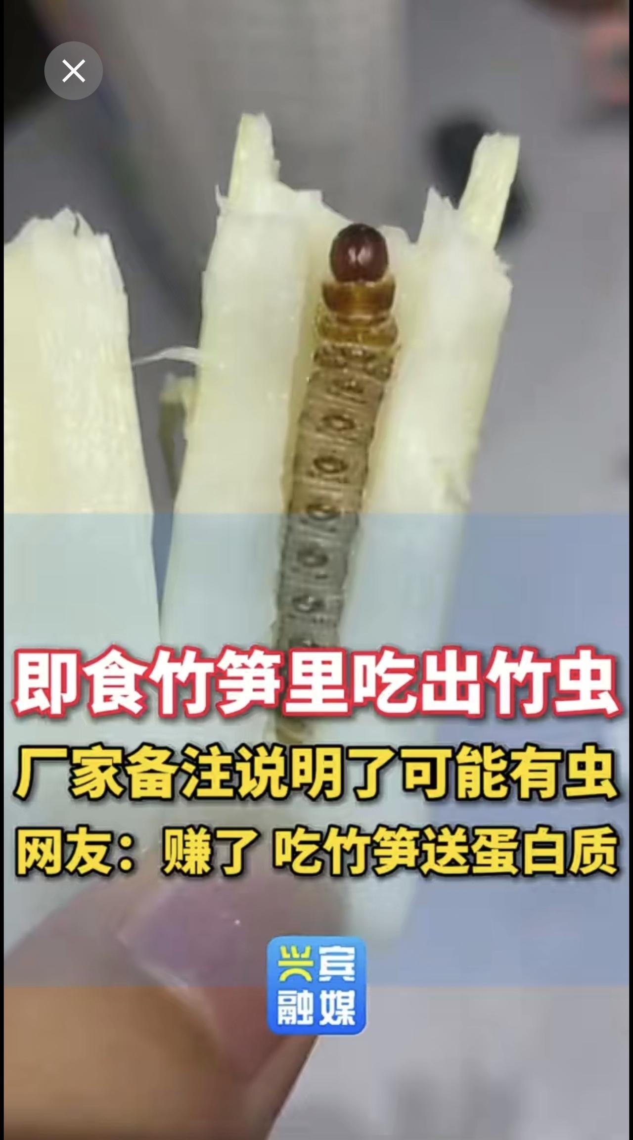 即食竹笋里吃出竹虫 厂家备注说明了可能有虫 网友：赚了 吃竹笋送蛋白质竹笋