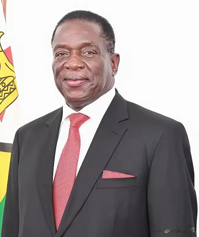 前脚巴拿马不顾中方反对，强行接管了巴拿马港口，后脚津巴布韦突然宣布暂停锂矿出口。